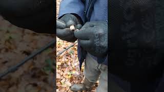 INSTANT DÉTECTION #3   #chasseurdetrésors    #détectiondemétaux    #pêcheàlaimant     #humour