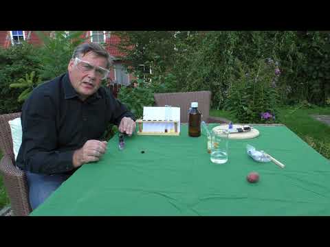 Enzyme sind Biokatalysatoren