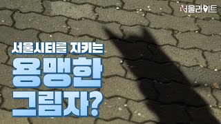 [TBS 서울라이트] 멍멍! 내 동료가 돼라! 서울 시티는 내가 지킨다?! 반려견 순찰대!