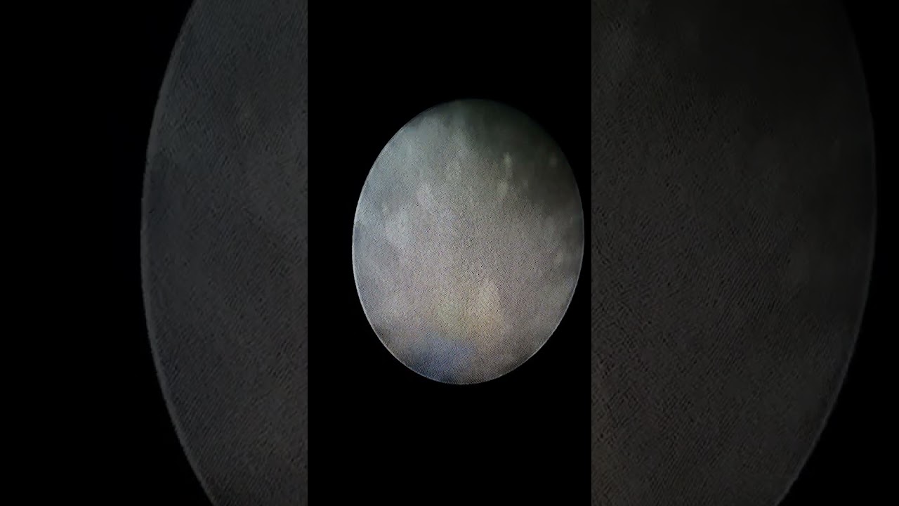 Sofía Alejandra Zubieta García-7