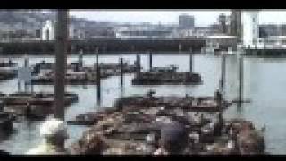 CSS (Cansei de Ser Sexy) Beautiful Song in San Francisco