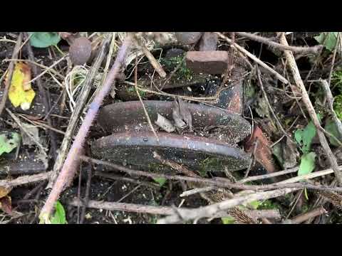 Abandoned Sawmill, can it be saved?