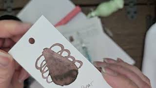 Water Bear Ink Review Birmingham Pen Company Fountain Pen Ink