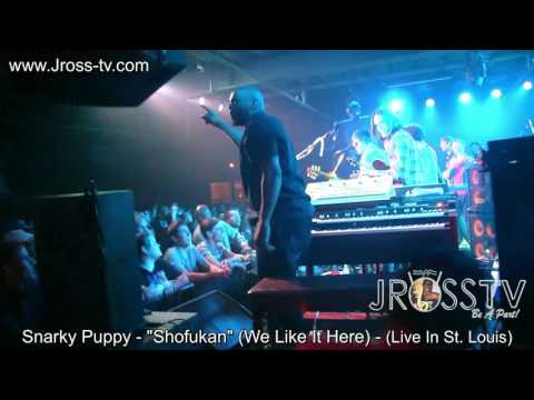 James Ross @ Snarky Puppy - "Shofukan" (We Like it Here) - www.Jross-tv.com