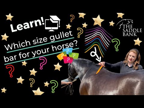 Which size gullet bar does your horse need? Find out here.. Wintec, Bates, Kent and Masters + more!