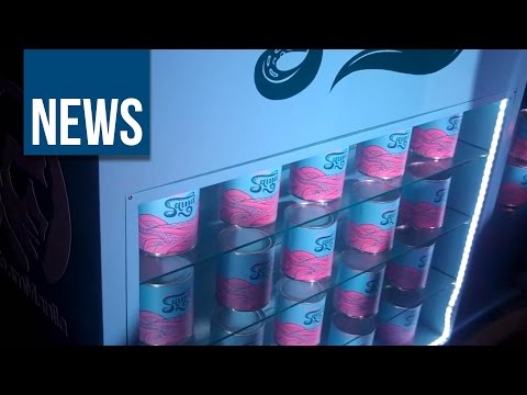 Squid 9 Origamidi Album Launch