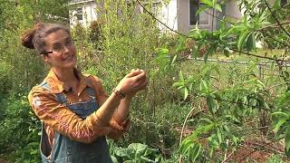 Permaculture Paradise: Val and Eli's Garden!