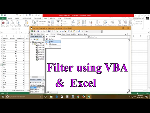 Filter in Excel using VBA
