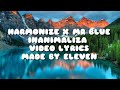 INANIMALIZA(harmonize ft Mr blue)lyrics video.  Harmonize ft Mr blue -inanimaliza (official video)