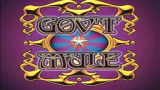 Gov&#39;t Mule - Wandering Child (Live)