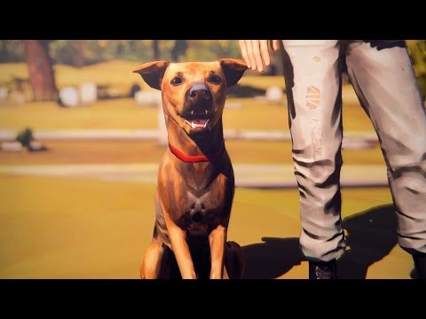 Life Is Strange Walkthrough - Ending (Sacrificing Chloe) - Episode 5: Polarized