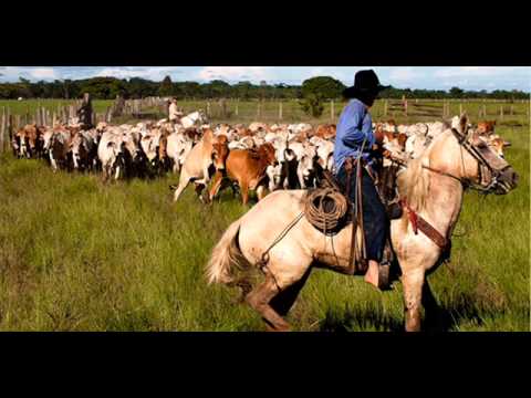 PINTANDO AL LLANO -ARMANDO MARTINEZ