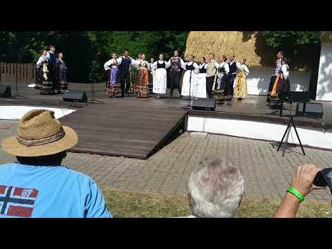 Kud Tena- U Bunjevca salaš bili (Bunjevačko) Stražnice 2019, Bludnik amfiteatar