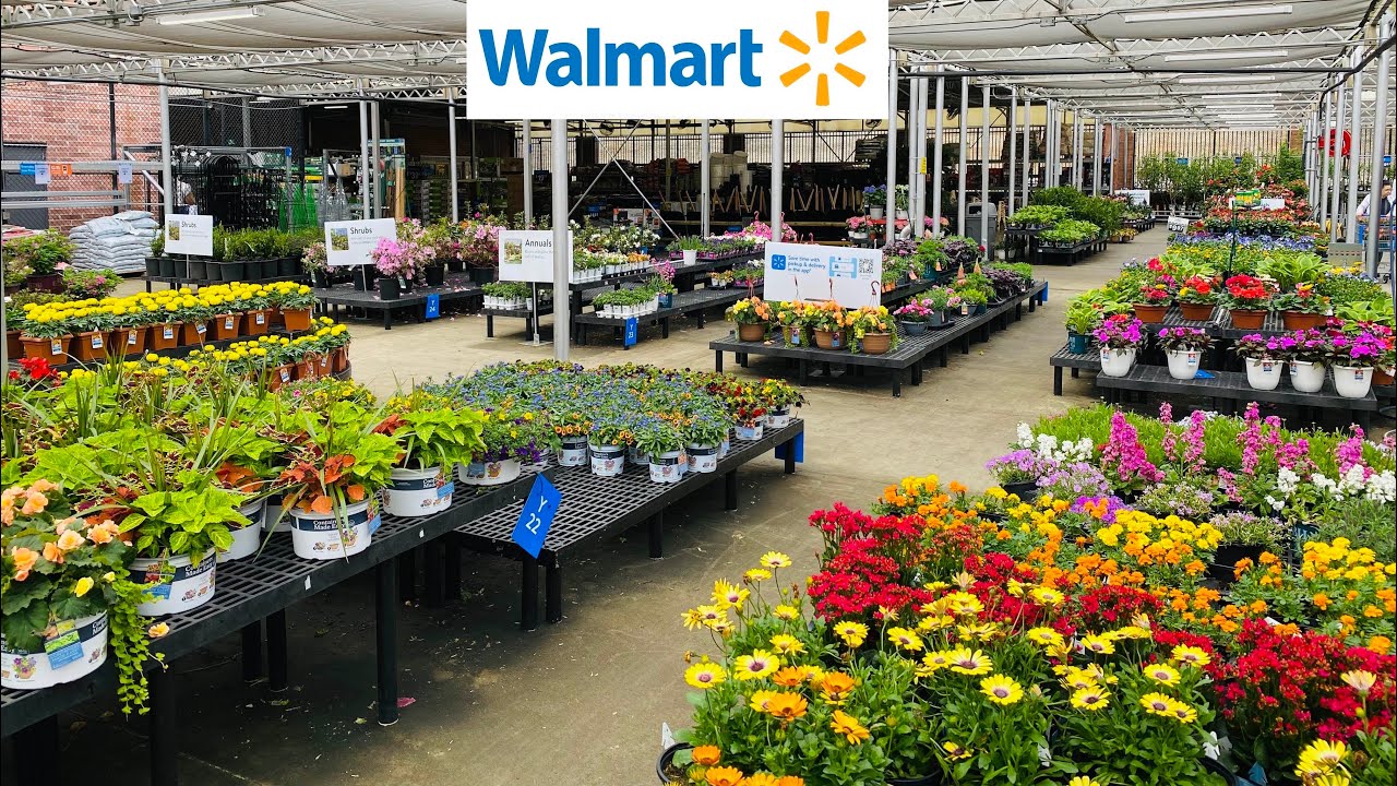 Walmart Garden Late Spring Perennials, Tropical Flower, Summer Annuals, Roses, Veggies