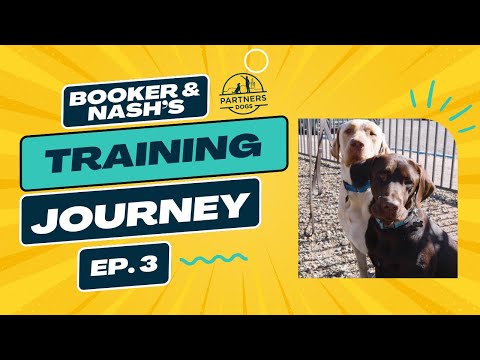 Partners Dog Training Journey | Booker & Nash | Ep. 3