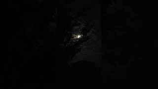 Nindiya - Arijit Singh (slowed+reverb)