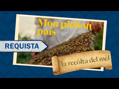 “Mon pichon país” #10 Edmond Vaysse, abelhaire