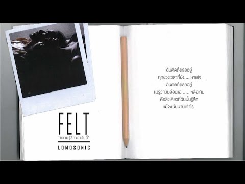 LOMOSONIC - ความรู้สึกของวันนี้ (FELT) [Official Audio]