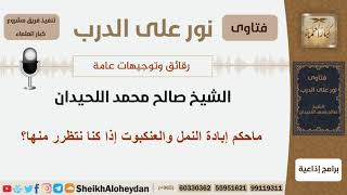 صورة ماحكم إبادة النمل والعنكبوت إذا كنا نتظرر منها؟ الشيخ اللحيدان - مشروع كبار العلماء