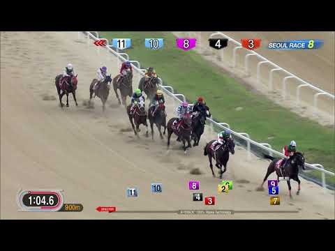 2017 Korea Cup(Seoul R8 1800m)