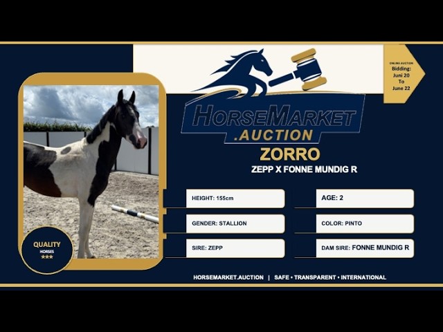 Zorro
