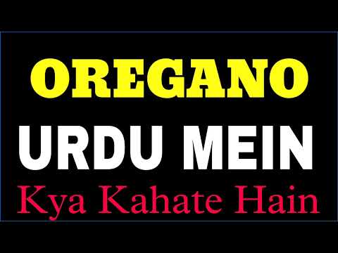 What is oregano called in Urdu? What is oregano called in Urdu?