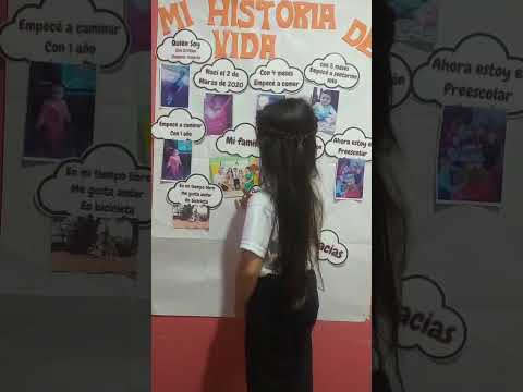 Anita 2423 Línea de vida