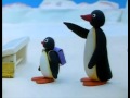 Pingu 28 130
