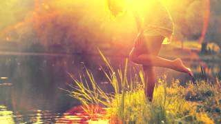 Feist - My Moon My Man (Boy Noize Remix)