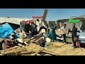 Real Estate Conspiracy Against Mr Hassan Family Farm The Facts Behind The Illegal Demolition