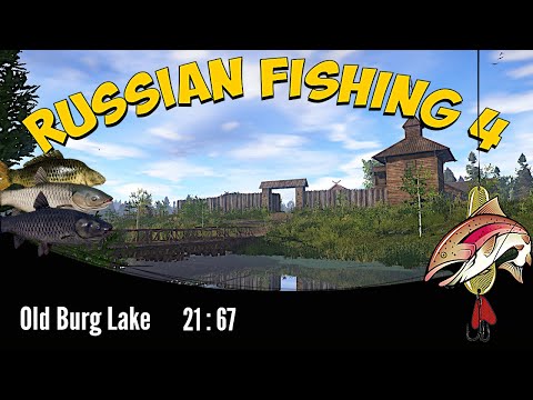 Russian fishing 4 - old burg lake - active spot