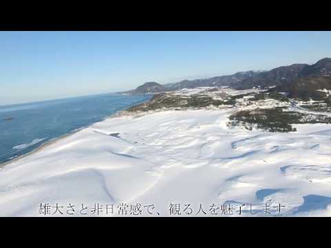 雪の鳥取砂丘