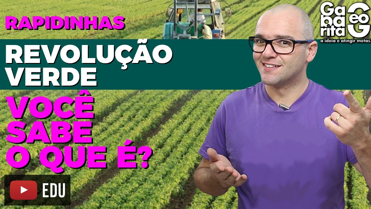 O QUE É REVOLUÇÃO VERDE? Geografia | Rapidinhas #019