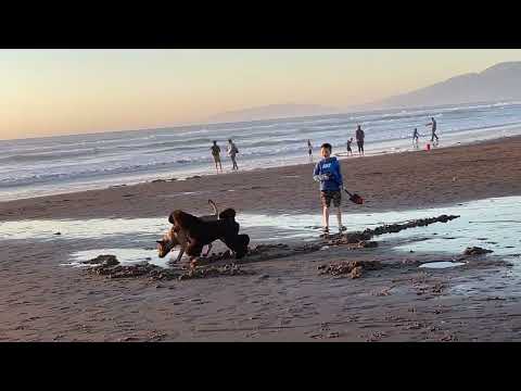 Ocean beach February 2022