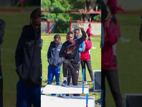 Majestikk Kartel - Mode Zenfant Cité