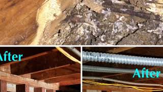 Foundation Cripple Wall Damage!