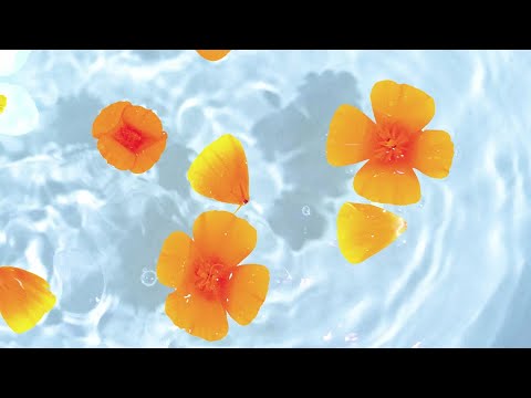 Video thumbnail for Cleanse