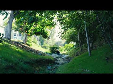 $inbad - IDEK (OFFICIAL Visualizer)