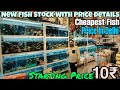 Fish Aquarium Shop Near By Me