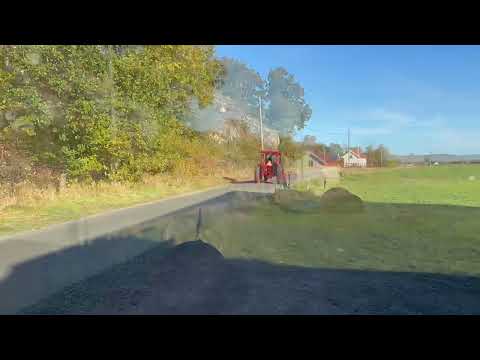Videoklipp