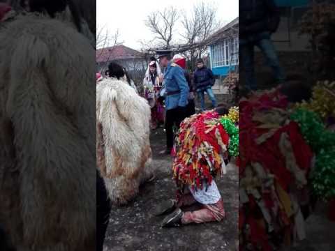 Berbeci din totoești...