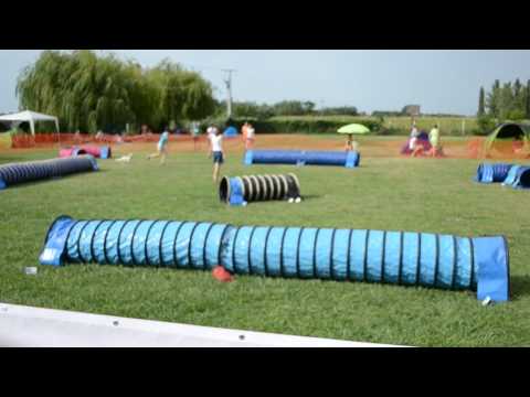 Monori Móka 2017.08.05. Zoé 1