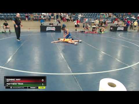 102 Lbs Champ. Round 1 - Dominic Way, WV Vs Matthew Tran, IA Ad2b