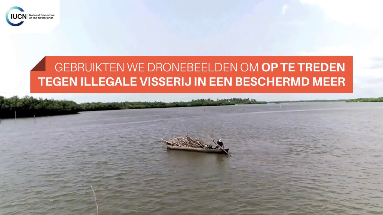 Wat deed IUCN NL in 2017?