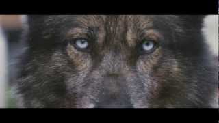 Howling (2012) Video