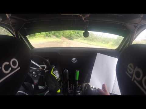 RIMO Martin Sport crash Zemaitija rally onboard