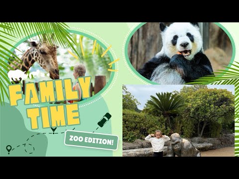 Visiting Ueno Zoo 🐾 | Pandas, Animals & Must-See Tokyo Experience!”