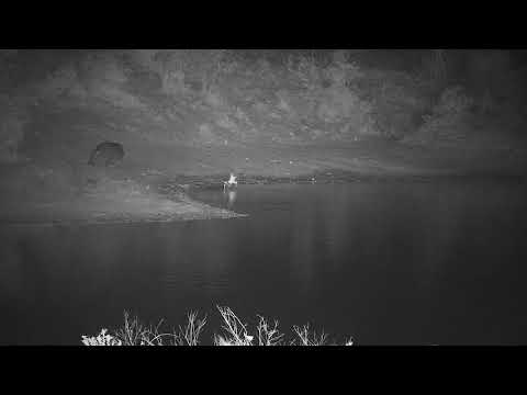 Djuma: Lone Hippo pays a short quiet visit to the dam - 01:25 - 10/27/21