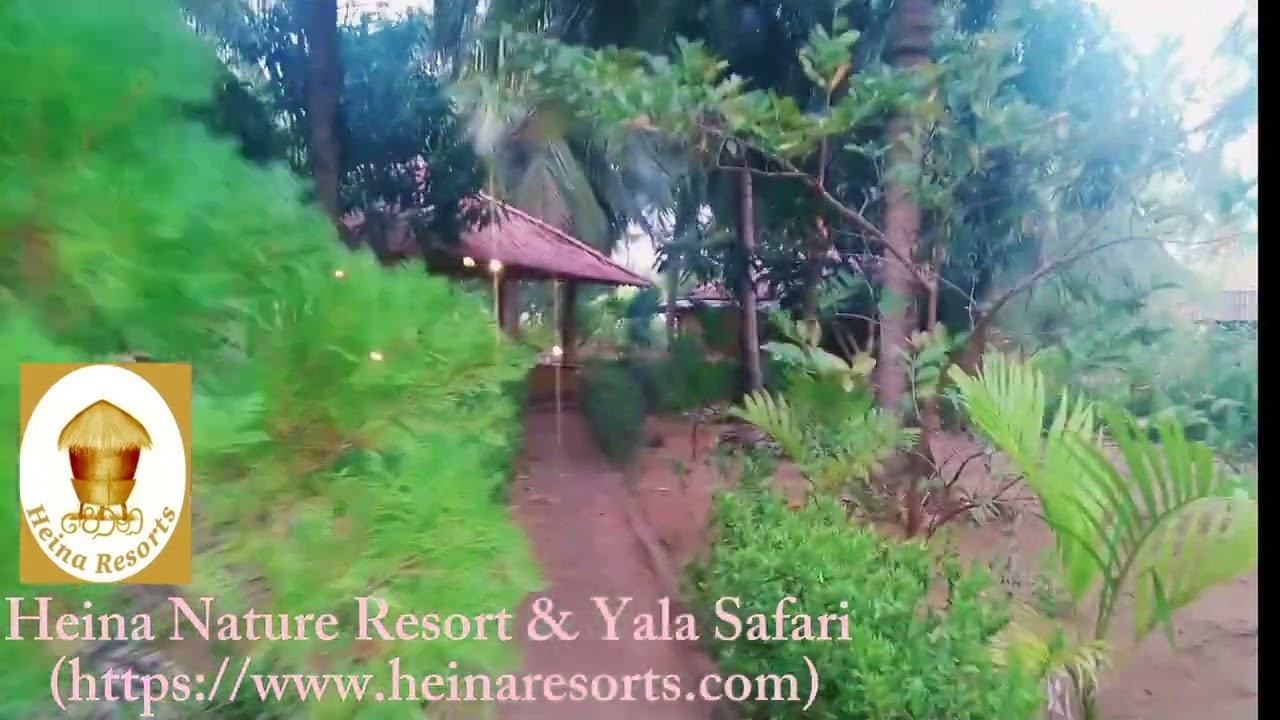 HEINA NATURE RESORT & YALA SAFARI Video thumbnail