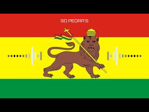 MELÔ DO BLACK BOY - SLY FOX 🎶 | SÓ PEDRA'S